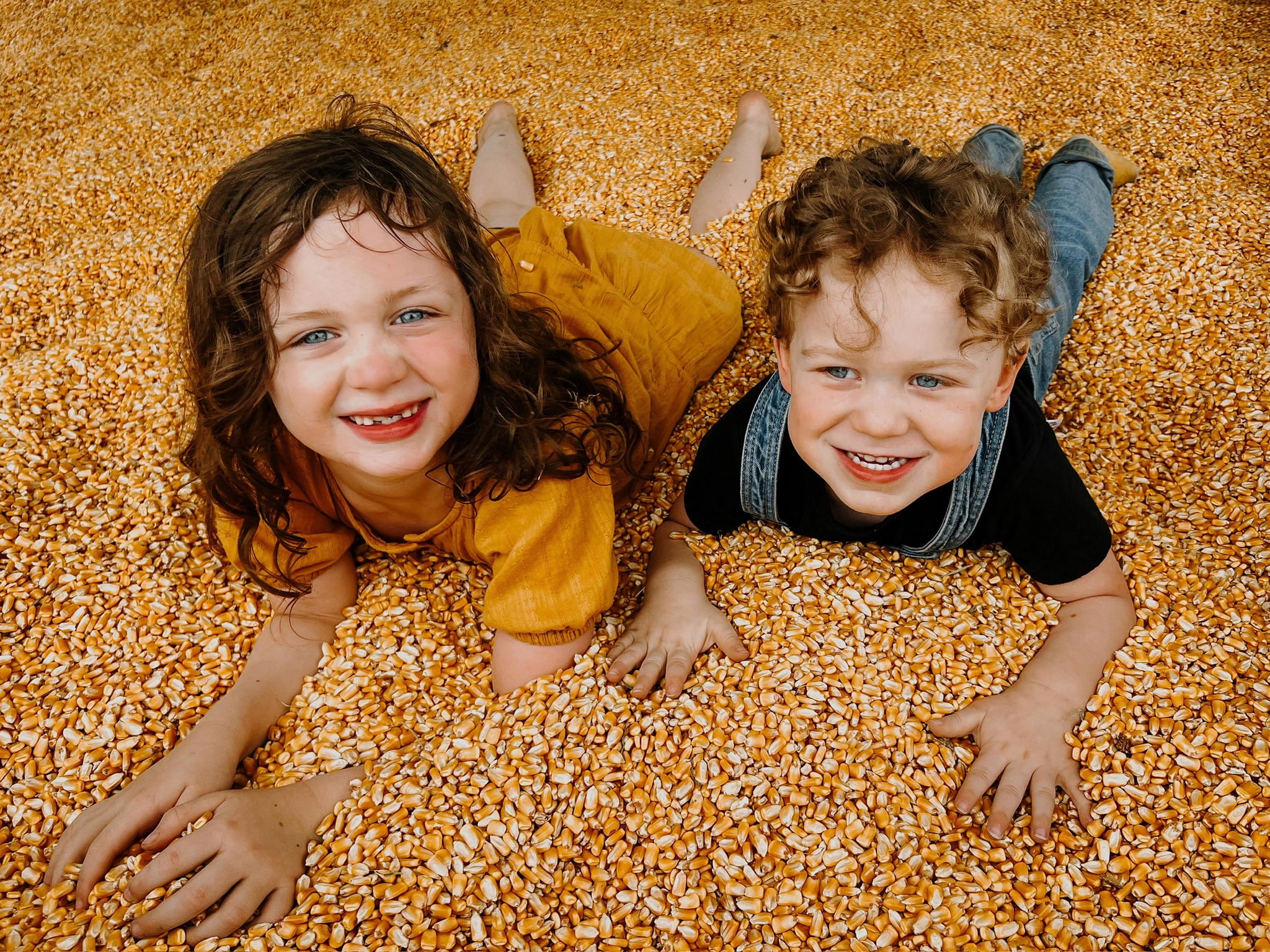 corn maze