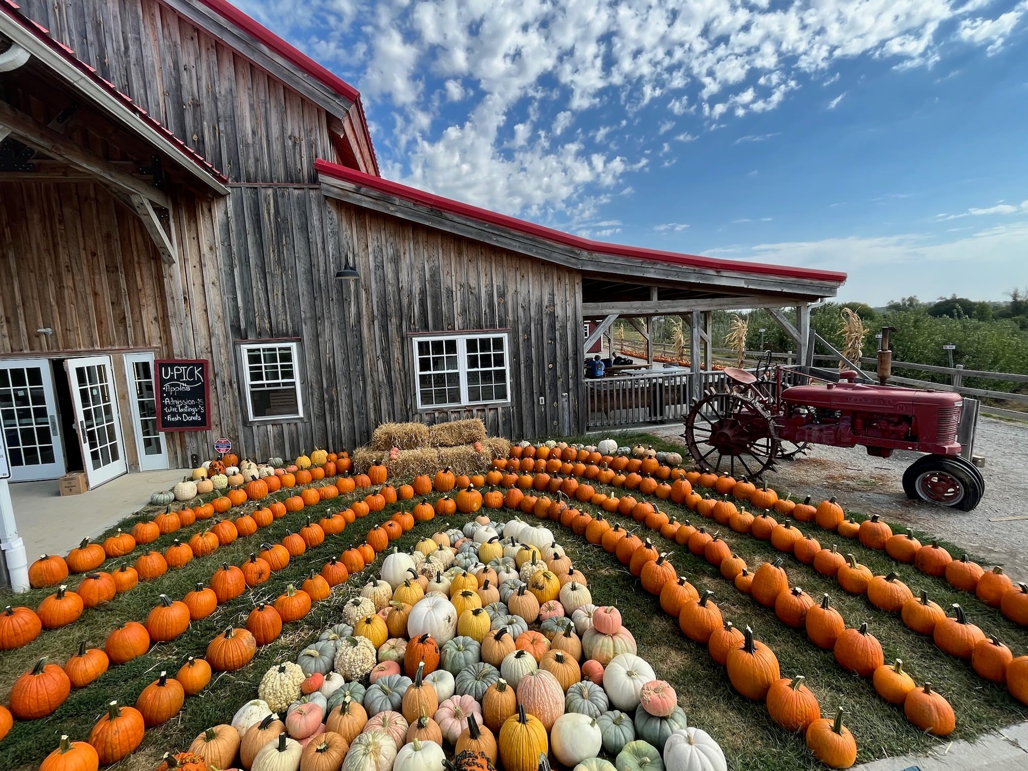 The barn and pumpkin display at Historic Weston Orchard on a fall day