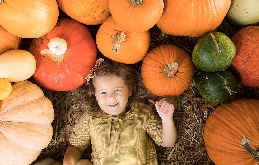The pumpkin patch in full swing during Pumpkin Fest at Weston Orchard