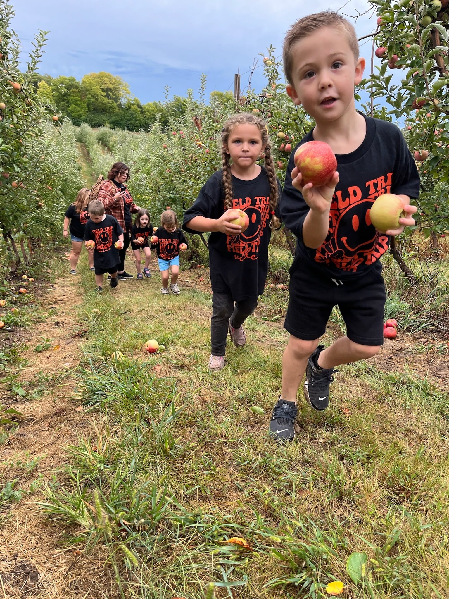The treehouse village explored on a school field trip at Weston Orchard