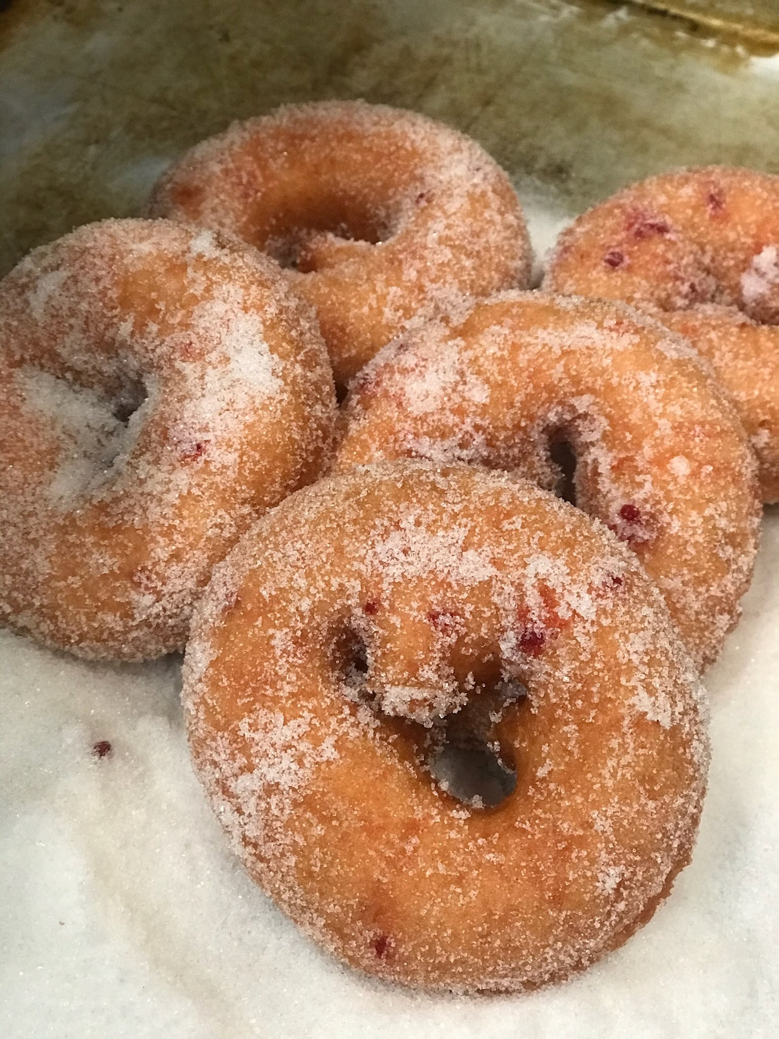 Fresh apple cider donuts from the farm bakery at Historic Weston Orchard