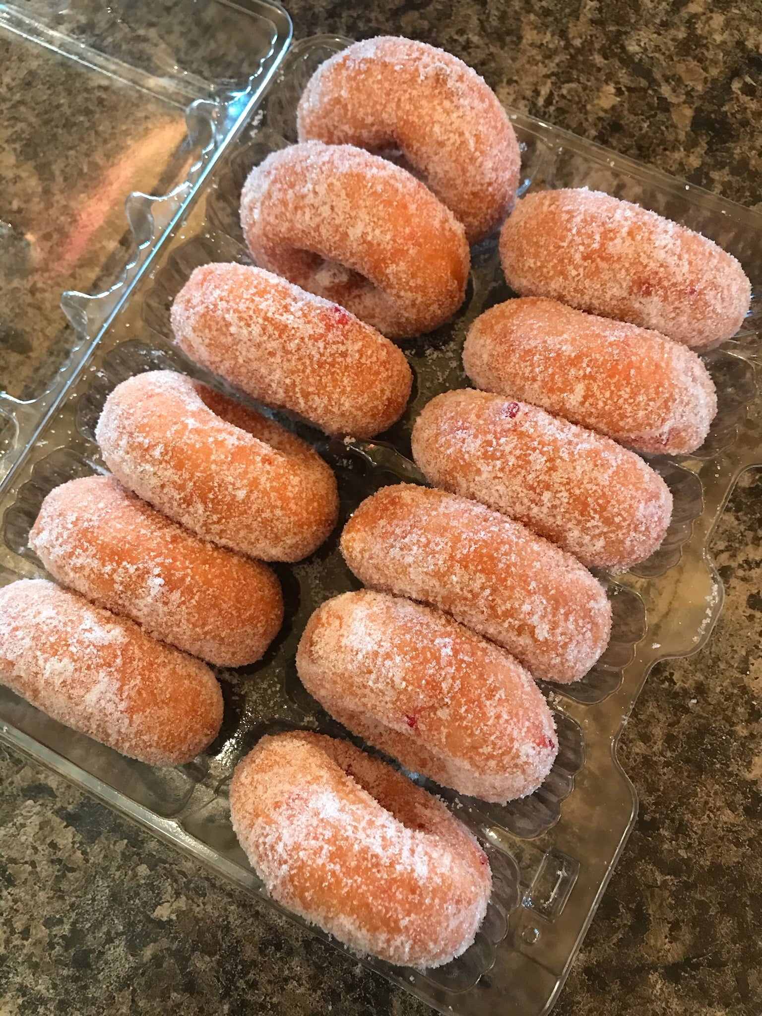 A dozen apple cider donuts packed in a takeout container at Historic Weston Orchard